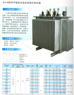 S13-M节能型全密封油浸式变压器图片,S13-M节能型全密封油浸式变压器图片大全,河南天力电气设备-
