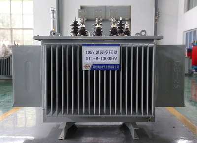 琼中黎族苗族自治县10kV油浸变压器S11-M-1000KVA